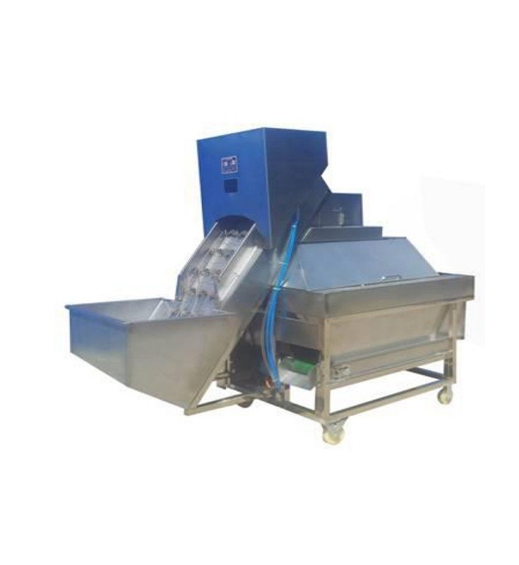 Commercial Potato Peeling Machine  Commercial Onion Peeler Manufacturer