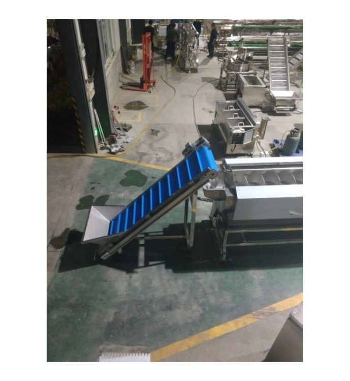 LINIA DO PRODUKCJI I PAKOWANIA FRYTEK 1000