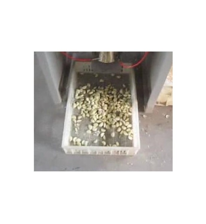 OBIERACZKA DO CZOSNKU GG-200