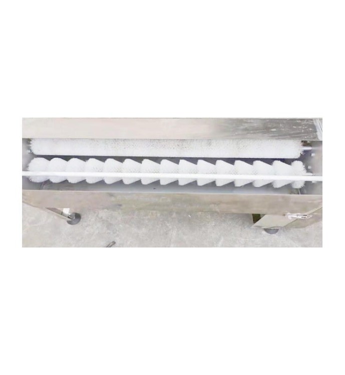 MYJKA DO JAJEK KURZYCH, GĘSICH