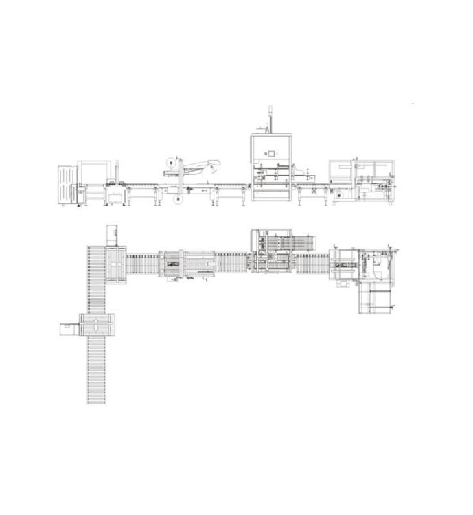 LINIA PAKUJĄCA DO KARTONÓW APL CSS01
