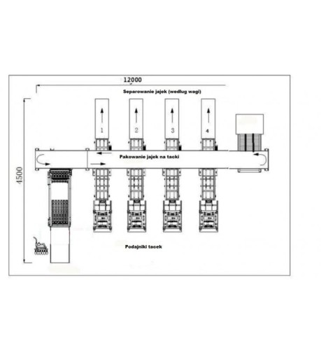 LINIA SEPARUJĄCA I PAKUJĄCA JAJKA NA TACKI