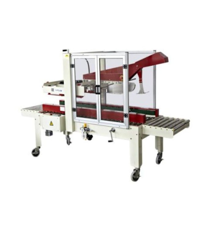 LINIA PAKUJĄCA W KARTONY