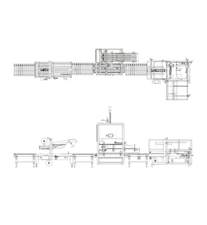 LINIA PAKUJĄCA W KARTONY