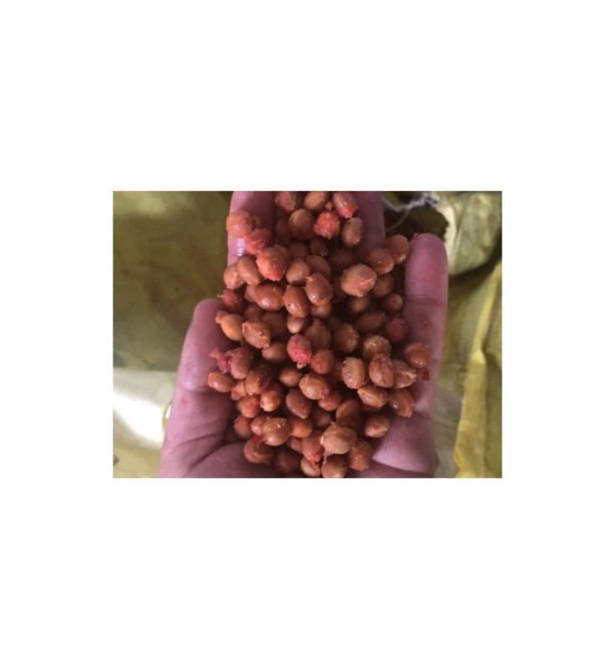 DRYLOWNICA DO WIŚNI / CZEREŚNI GG-500