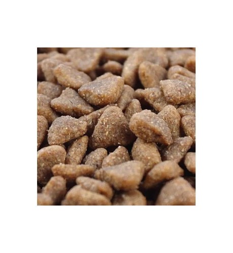 LINIA DO PRODUKCJI CHRUPEK DLA PSÓW