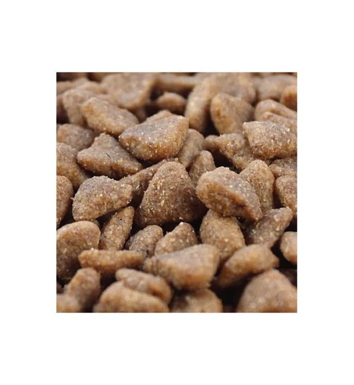 LINIA DO PRODUKCJI CHRUPEK DLA PSÓW