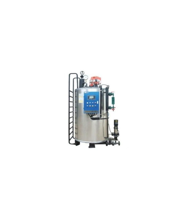 GENERATOR PARY 300 kg/h LHS0.3-0.4-Y(Q)