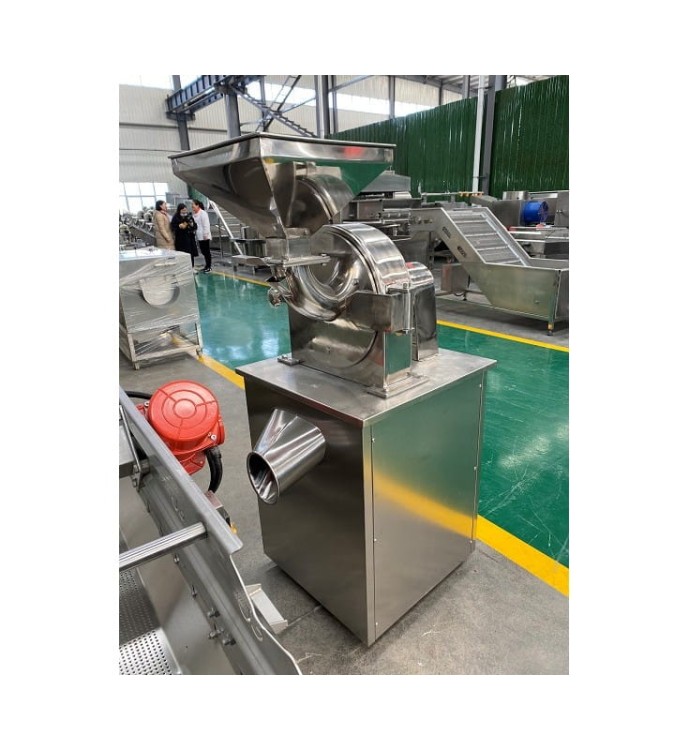 MŁYNEK DO MIELENIA SUSZONYCH OWOCÓW NA PROSZEK GG-350 / S40B