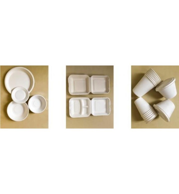 LINIA PRODUKCYJNA DO TALERZY PAPIEROWYCH BIODEGRADOWALNE ECO