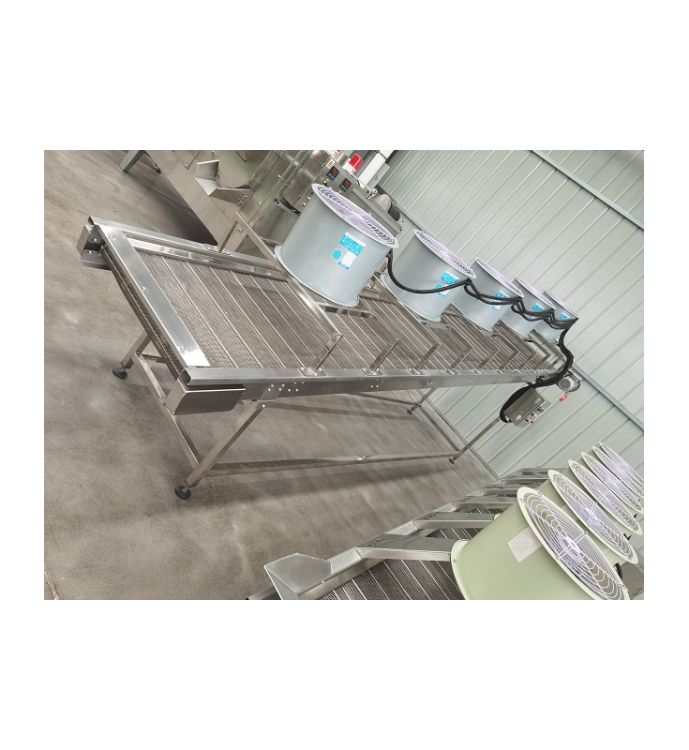 OSUSZACZ DO WARZYW GG 5000