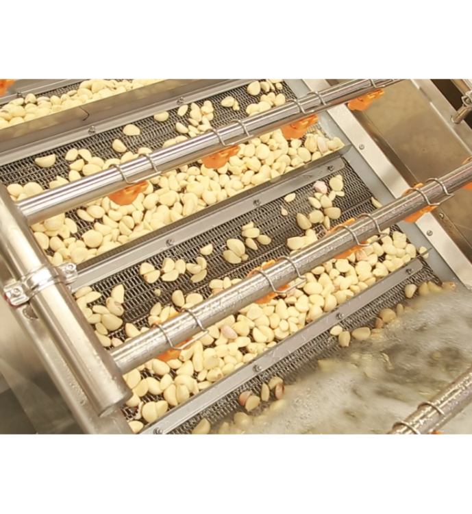 LINIA DO ROZDRABNIANIA I OBIERANIA CZOSNKU