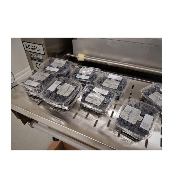 PAKOWARKA PRÓŻNIOWA DO TACEK VACUUM HVT 550A/6