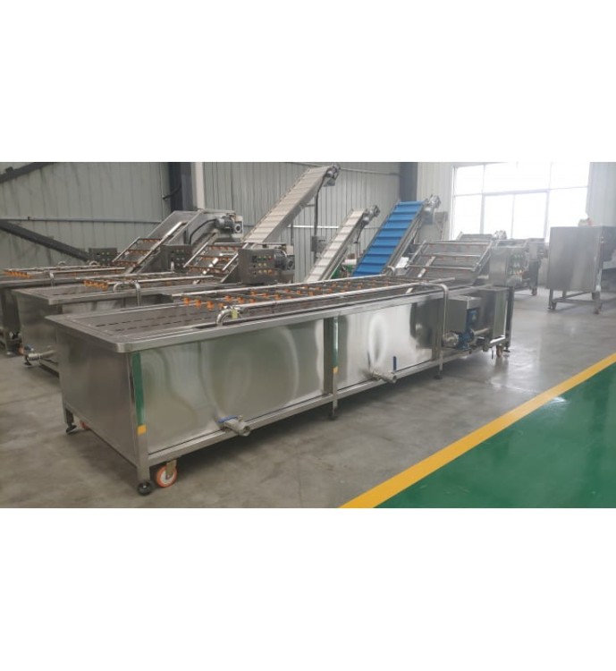 LINIA DO PRODUKCJI I PAKOWANIA FRYTEK 1000