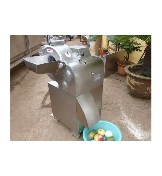 KRAJALNICA DO WARZYW GG HD 100