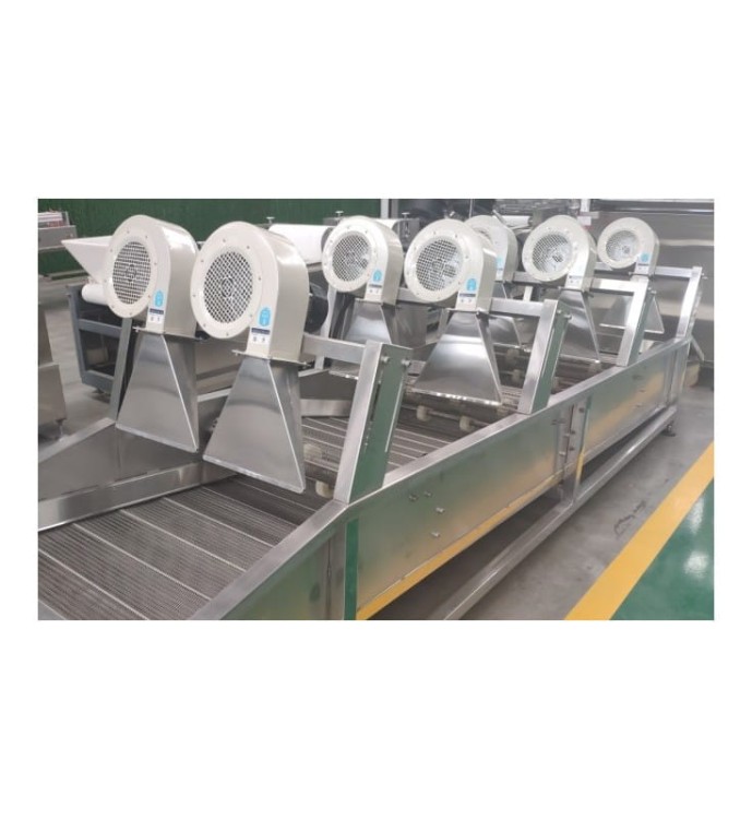 LINIA DO PRODUKCJI I PAKOWANIA FRYTEK 1000