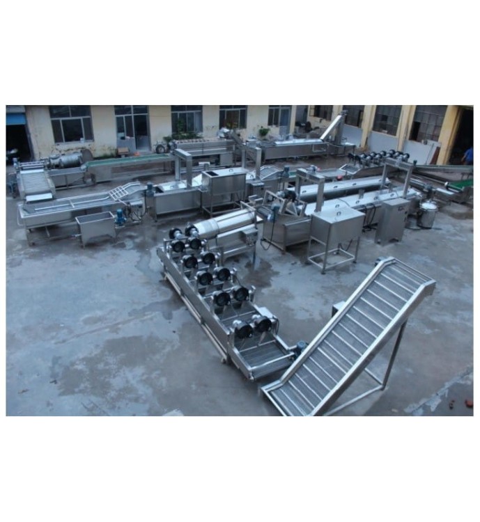 LINIA DO PRODUKCJI I PAKOWANIA FRYTEK 1000