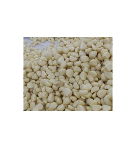 LINIA DO ROZDRABNIANIA I OBIERANIA CZOSNKU 1000 kg