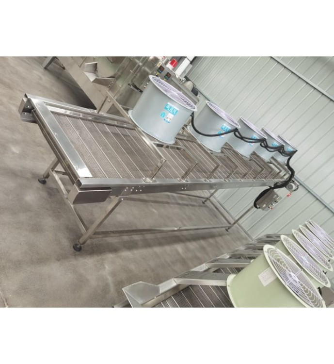 LINIA DO PRODUKCJI I PAKOWANIA FRYTEK 1000