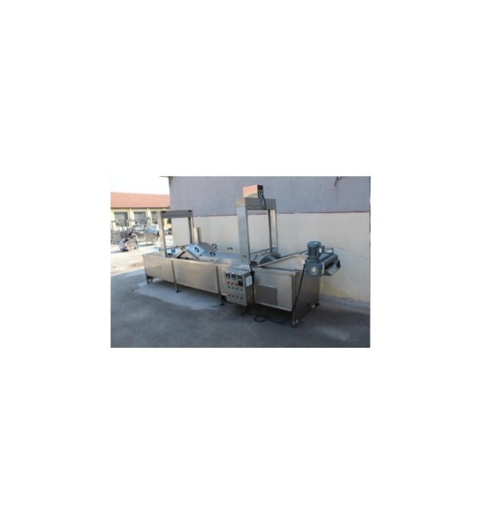 LINIA DO PRODUKCJI I PAKOWANIA FRYTEK 1000