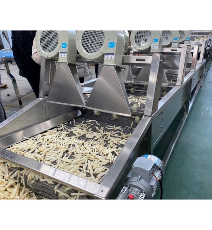 LINIA DO PRODUKCJI I PAKOWANIA FRYTEK 1000