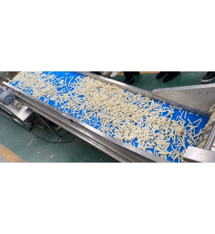 LINIA DO PRODUKCJI I PAKOWANIA FRYTEK 1000