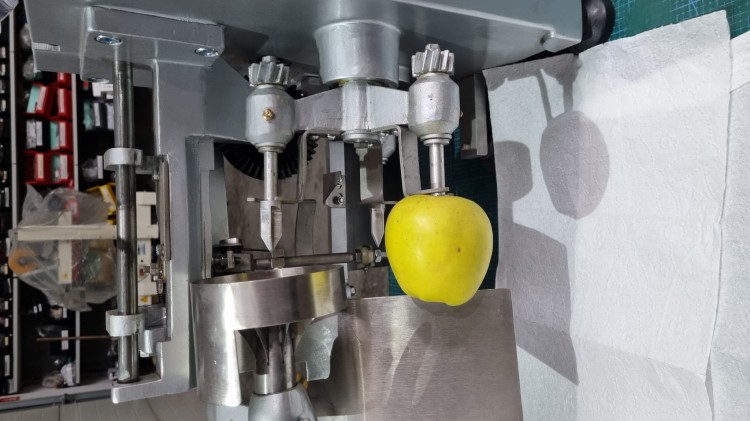 DRĄŻARKA DO JABŁEK GG-PS1 (5).jpg