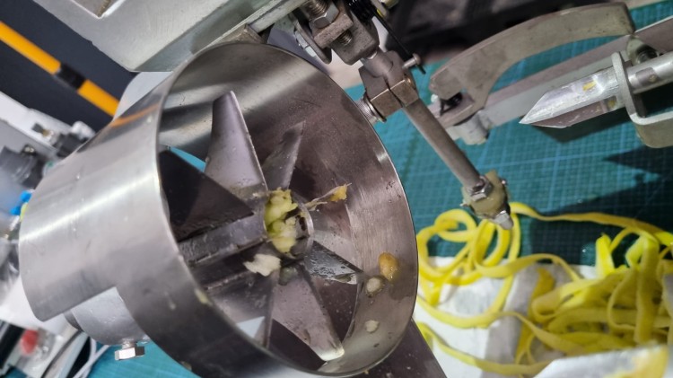 DRĄŻARKA DO JABŁEK GG-PS1 (7).jpg